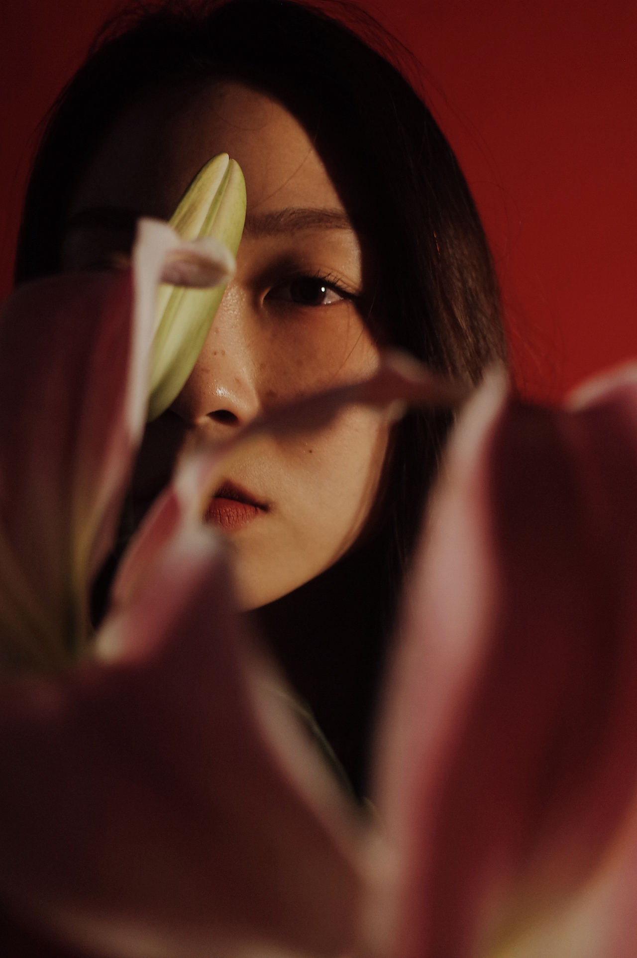 红 百合（图ZMjU3NzMxODEy） - 人像摄影 - 站酷设计师LYSDA原创素材 - 站酷ZCOOL