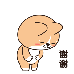 柯基十一日常篇第二弹