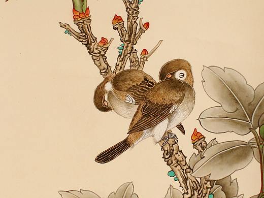 工筆畫（個人主頁-ZNTAwMDg3MzI=） - 繪畫 - 站酷設計師洛書芳華原創(chuàng)素材 - 站酷ZCOOL