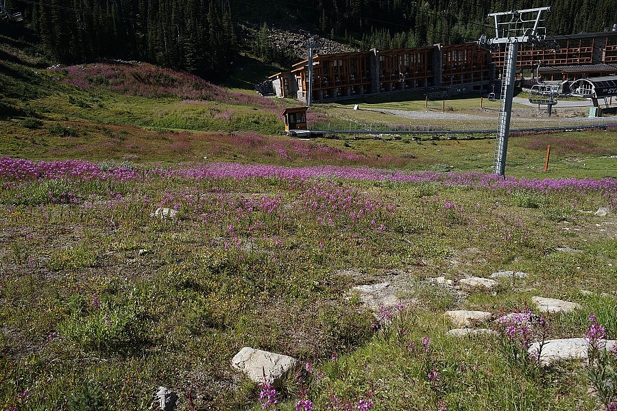 班夫著名的滑雪胜地, 夏季观光
