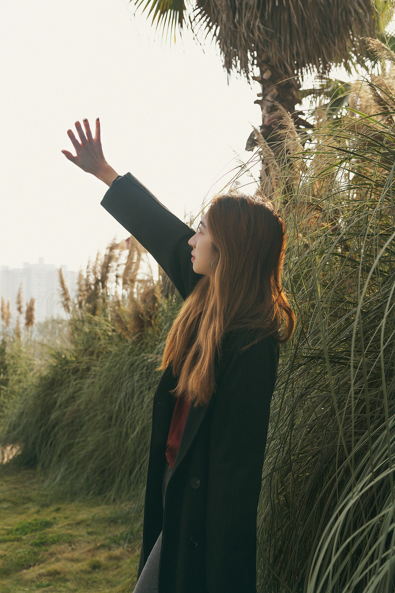 冬季色彩 / 是你温暖了冬天