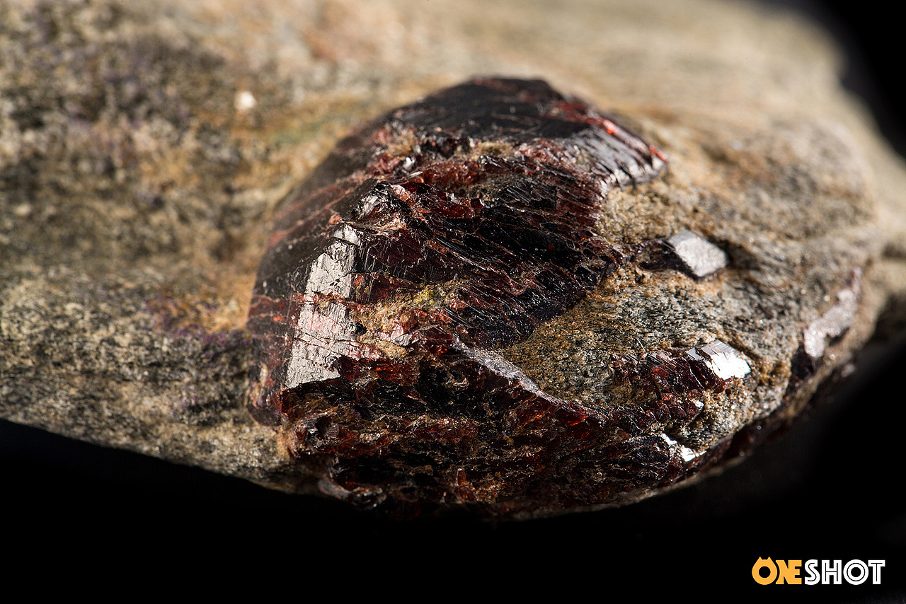 一些化石和矿石（图ZMTM4NTYyOTUy） - 产品摄影 - 站酷设计师WildKay原创素材 - 站酷ZCOOL