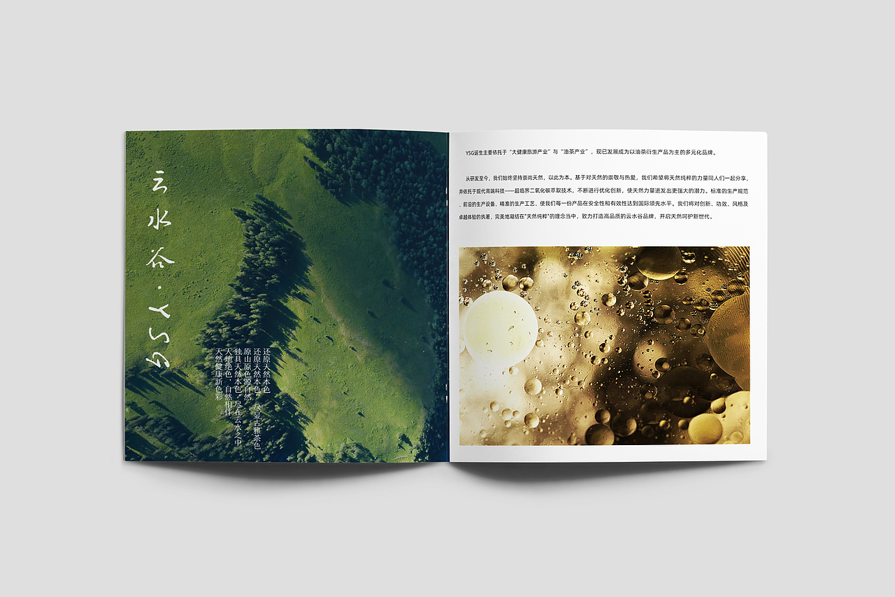 企业手册/画册（图ZMjkzMjk4Mzc2） - 书籍/画册 - 站酷设计师CL酷原创素材 - 站酷ZCOOL