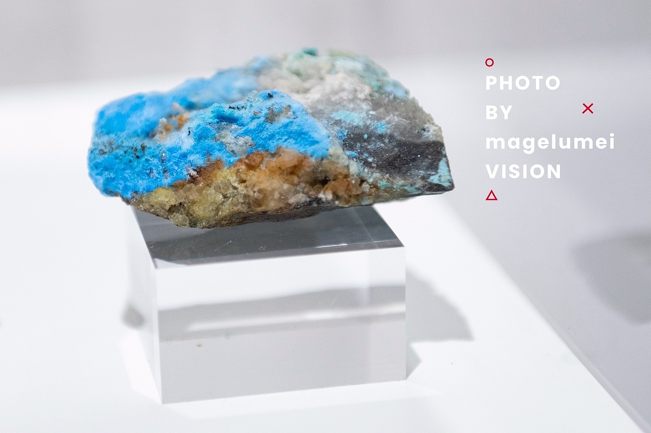 坦培拉 绘画 展览 摄影