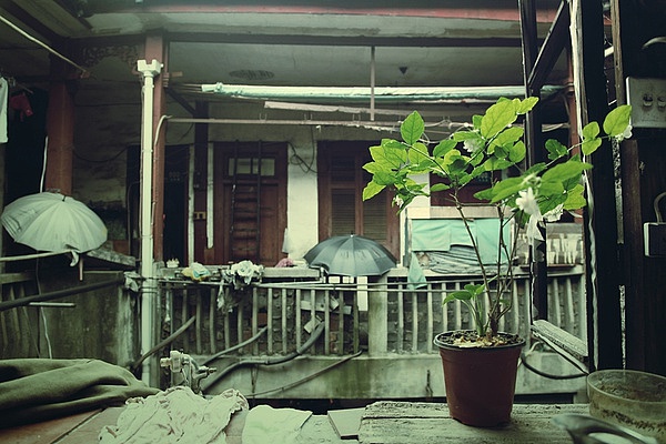 厦门民宅生活摄影1，勿拍砖（图ZMTE0MDIxMjA=） - 风光摄影 - 站酷设计师林子同学原创素材 - 站酷ZCOOL