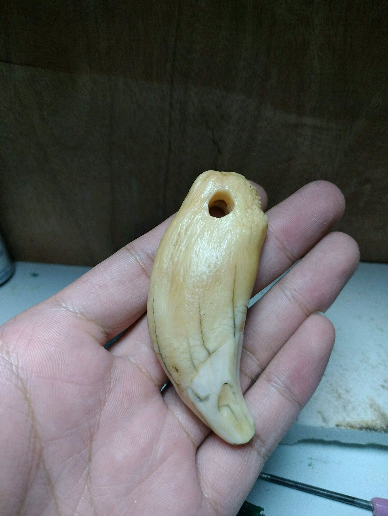 当老北极遇上24K