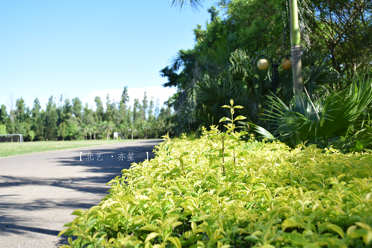 光和影（图ZMzI3NjY1NTY=） - 风光摄影 - 站酷设计师亦笙olol原创素材 - 站酷ZCOOL