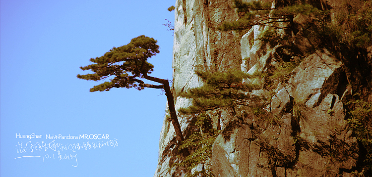 潘多拉星球我们未来将要生活的地方10.1黄山油（图ZMTY2ODA0NA==） - 风光摄影 - 站酷设计师oscarzhan原创素材 - 站酷ZCOOL