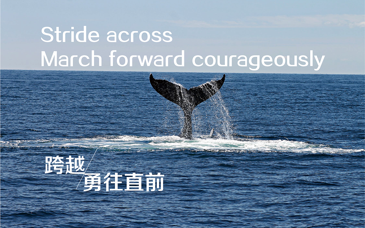 标志设计 | 同桌教育