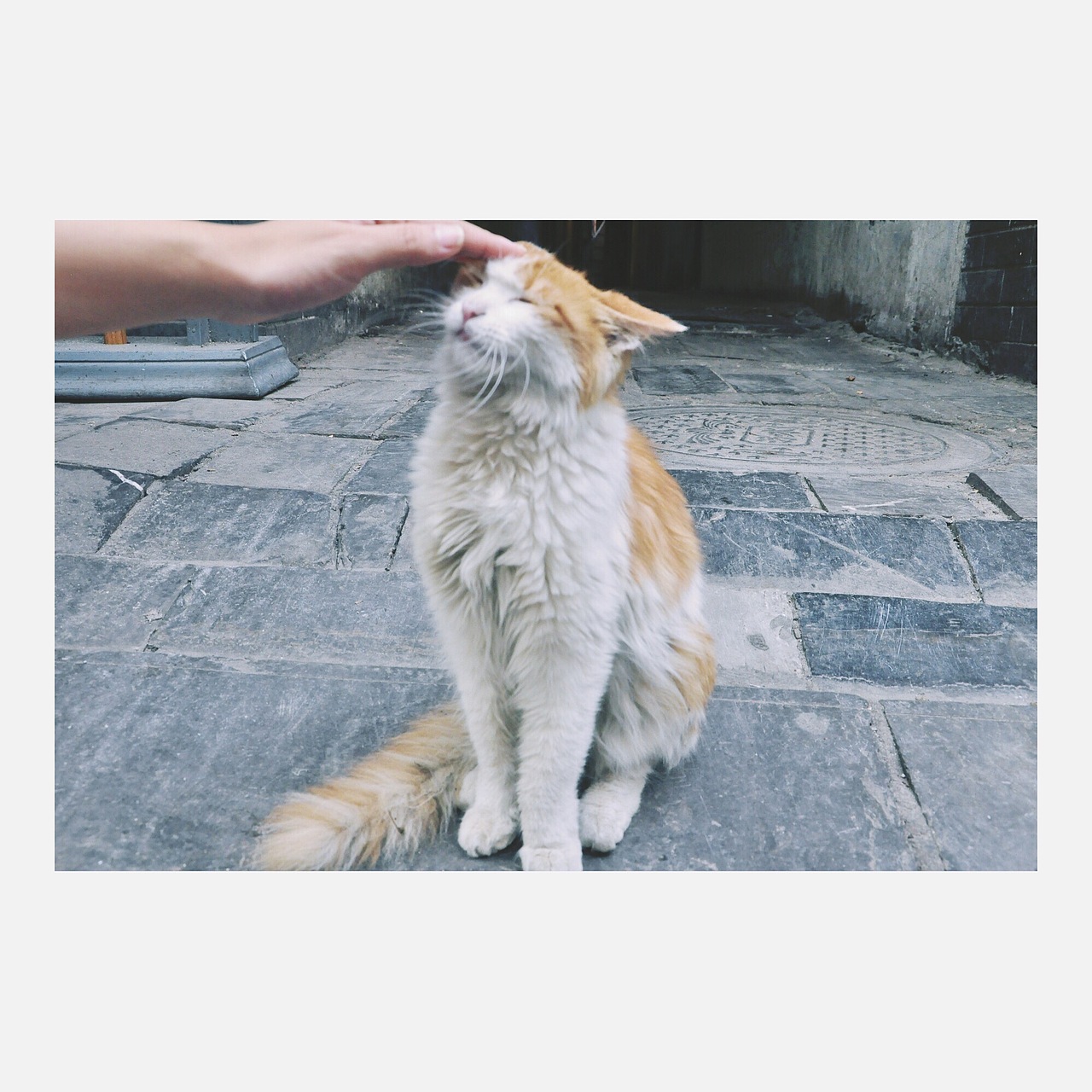 旅行×西安