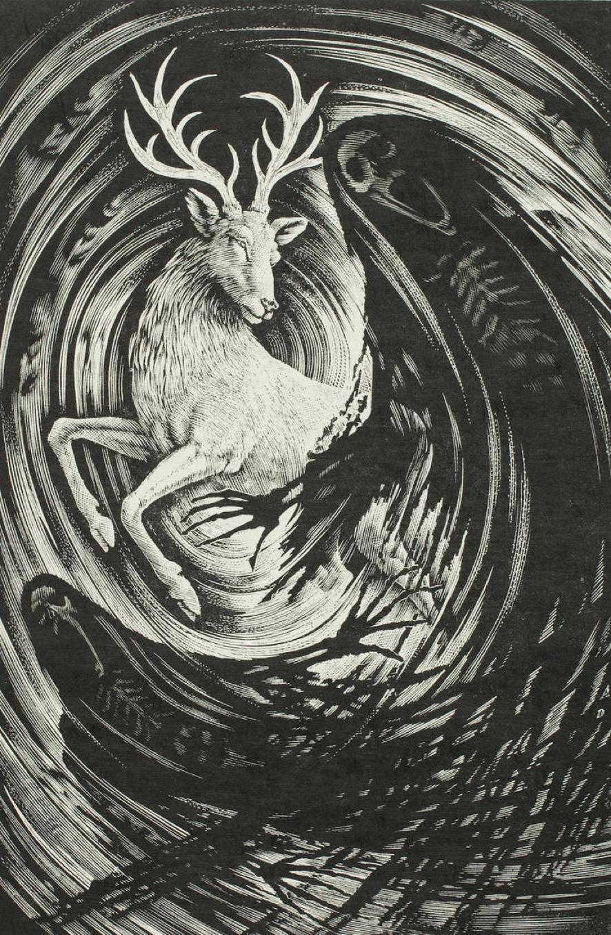 从欧洲铜版画,日本浮世绘,到中国明清时期桃花坞的木版年画,版画不仅