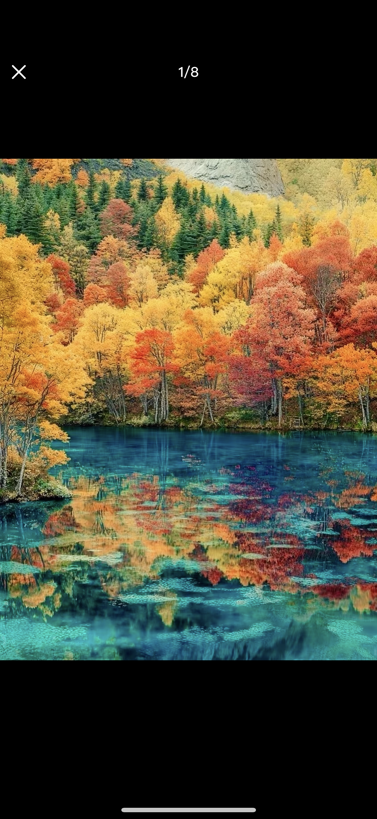 这绝美神颜无滤镜修图美景，啥也不说了，自己看吧…