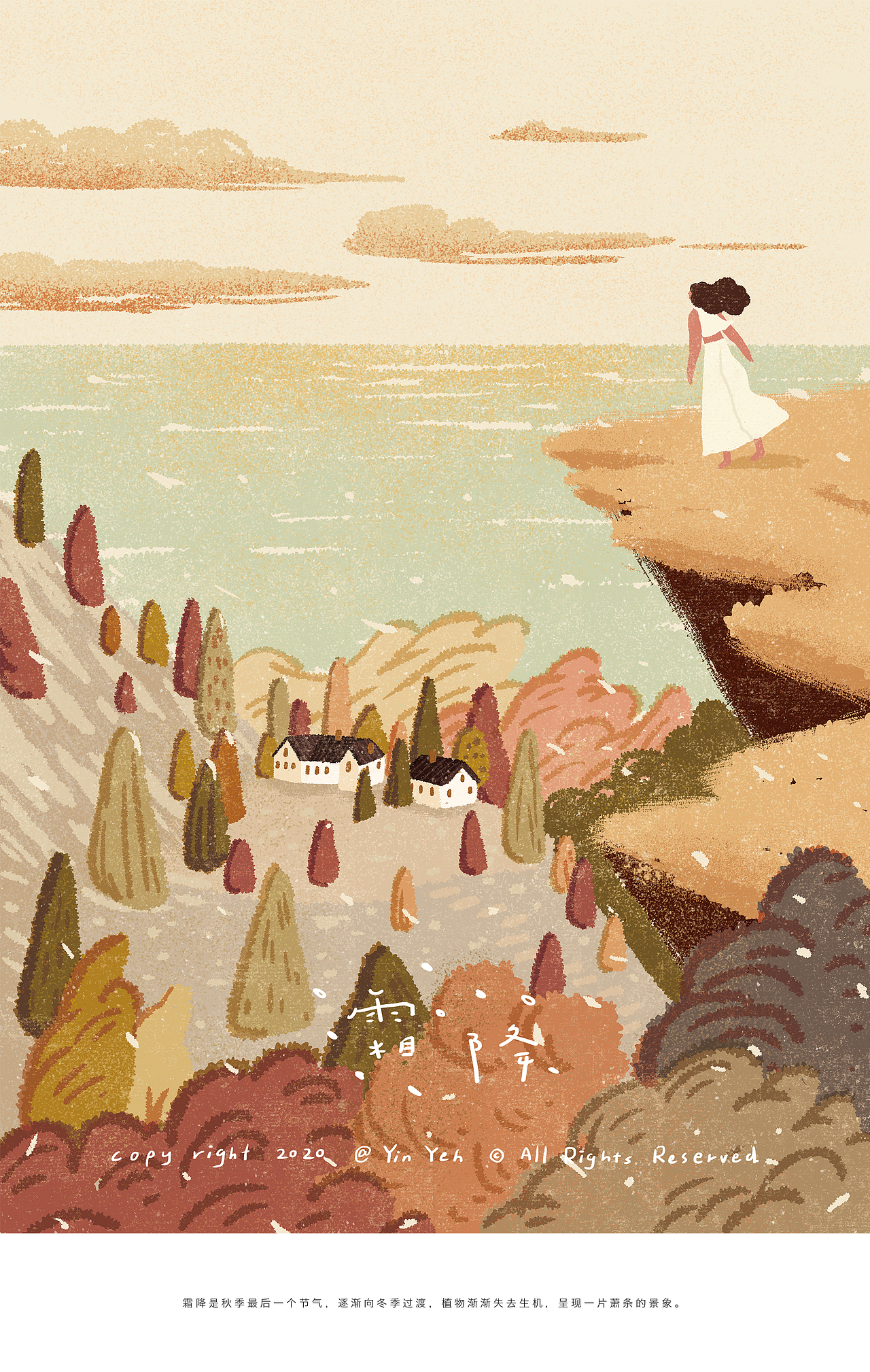 2020年终插画作品总结