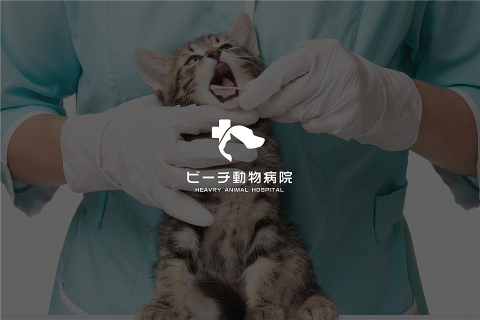 动物医院VI设计