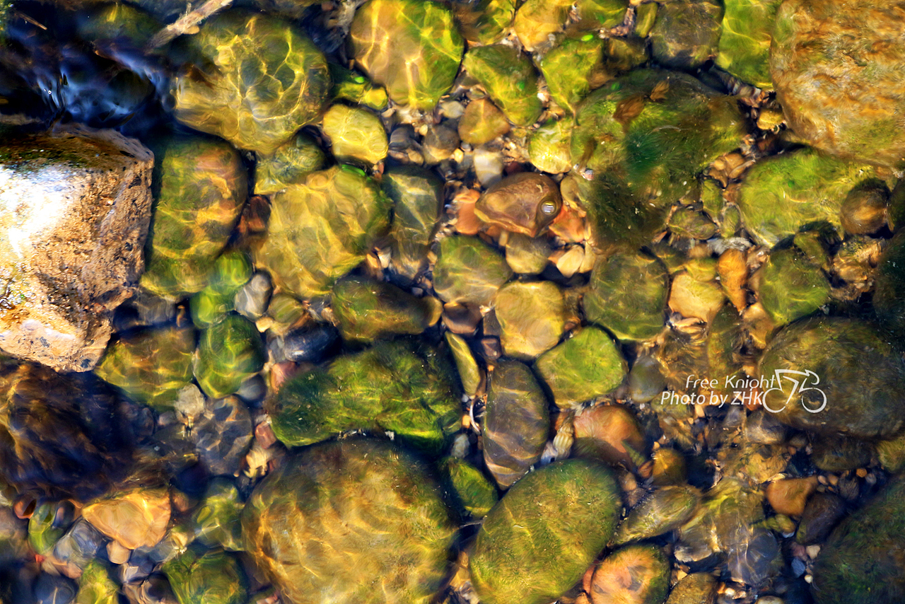 做自己的Free Knight!