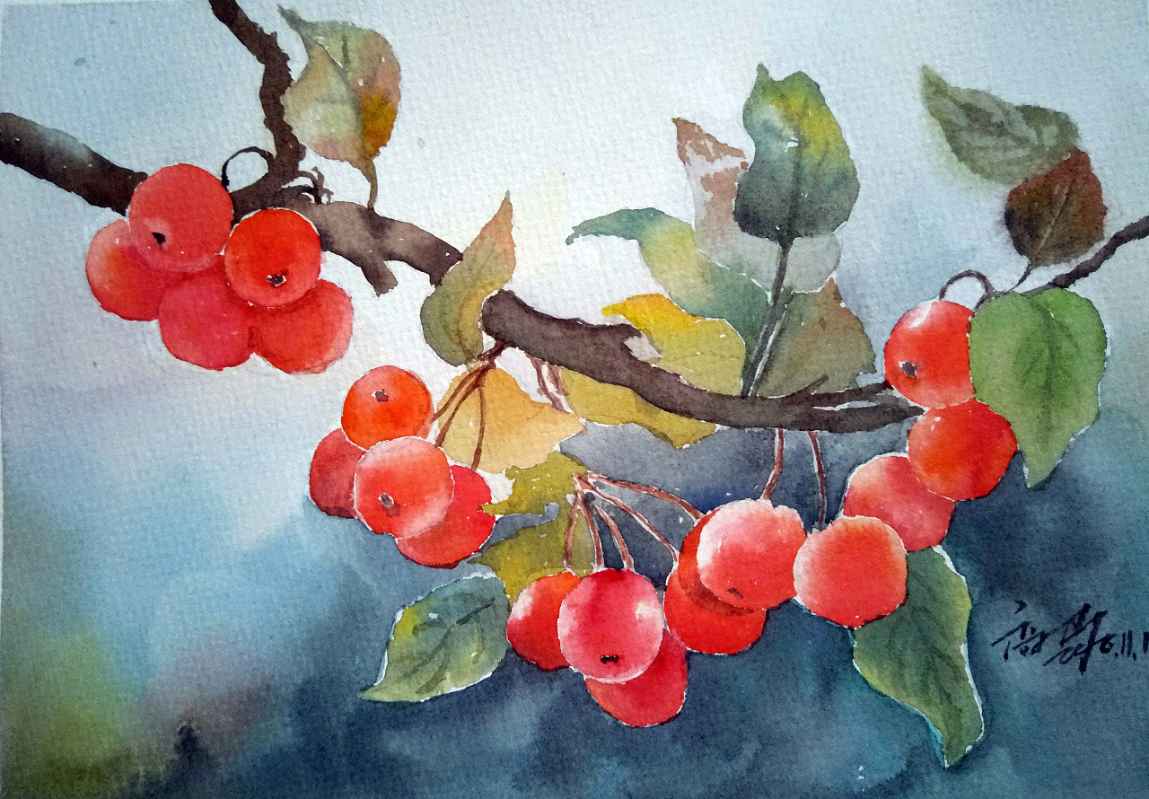 水彩静物|纯艺术|绘画|外星人m - 临摹作品 - 站酷 (zcool)