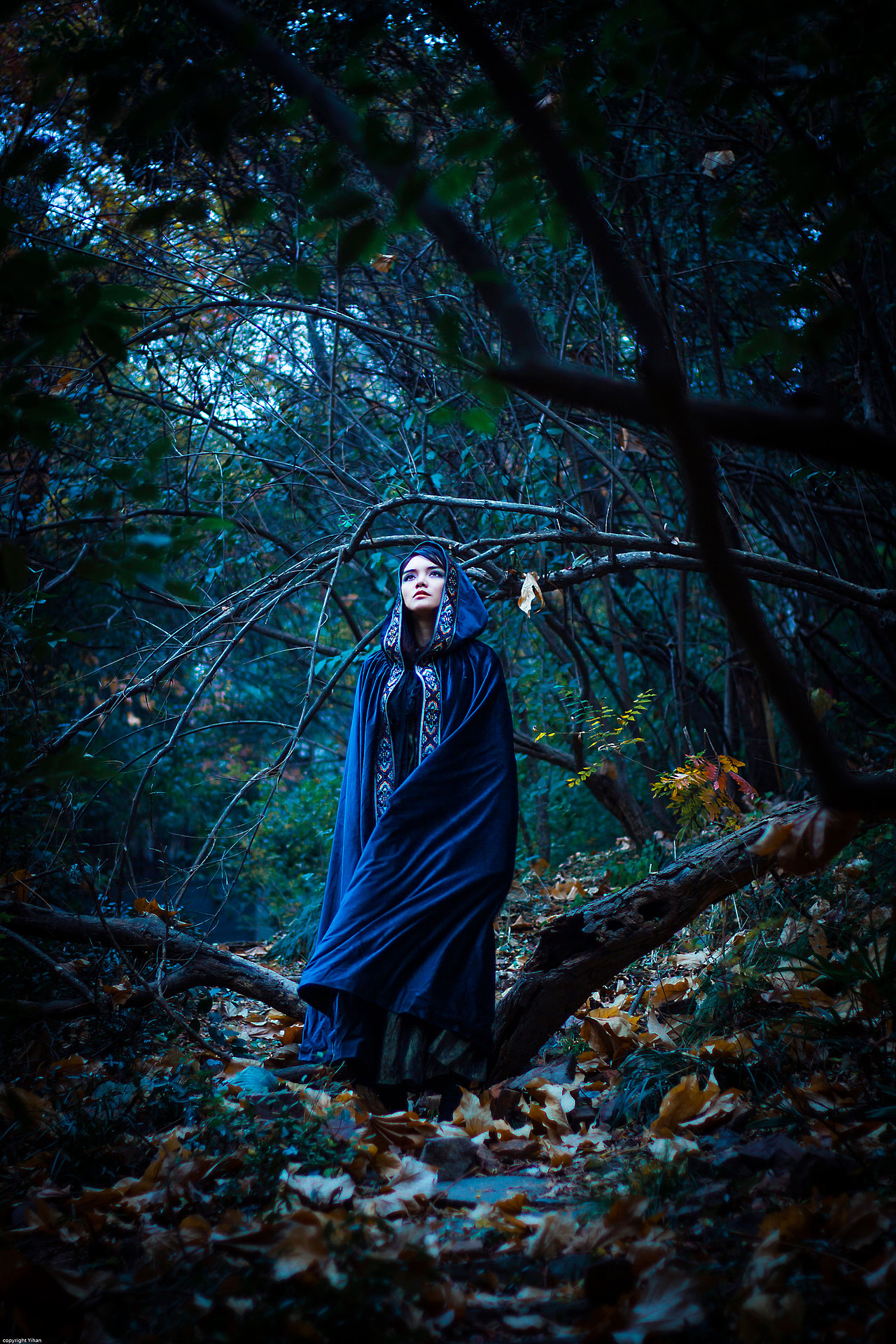 《女巫系列-邪恶不是我本意》