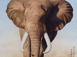 王泉涌工筆大象