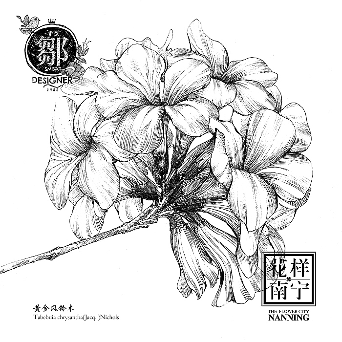 花卉插画及邮折设计（图ZNTE5MTE4MjQ=） - 商业插画 - 站酷设计师鄒慶原创素材 - 站酷ZCOOL