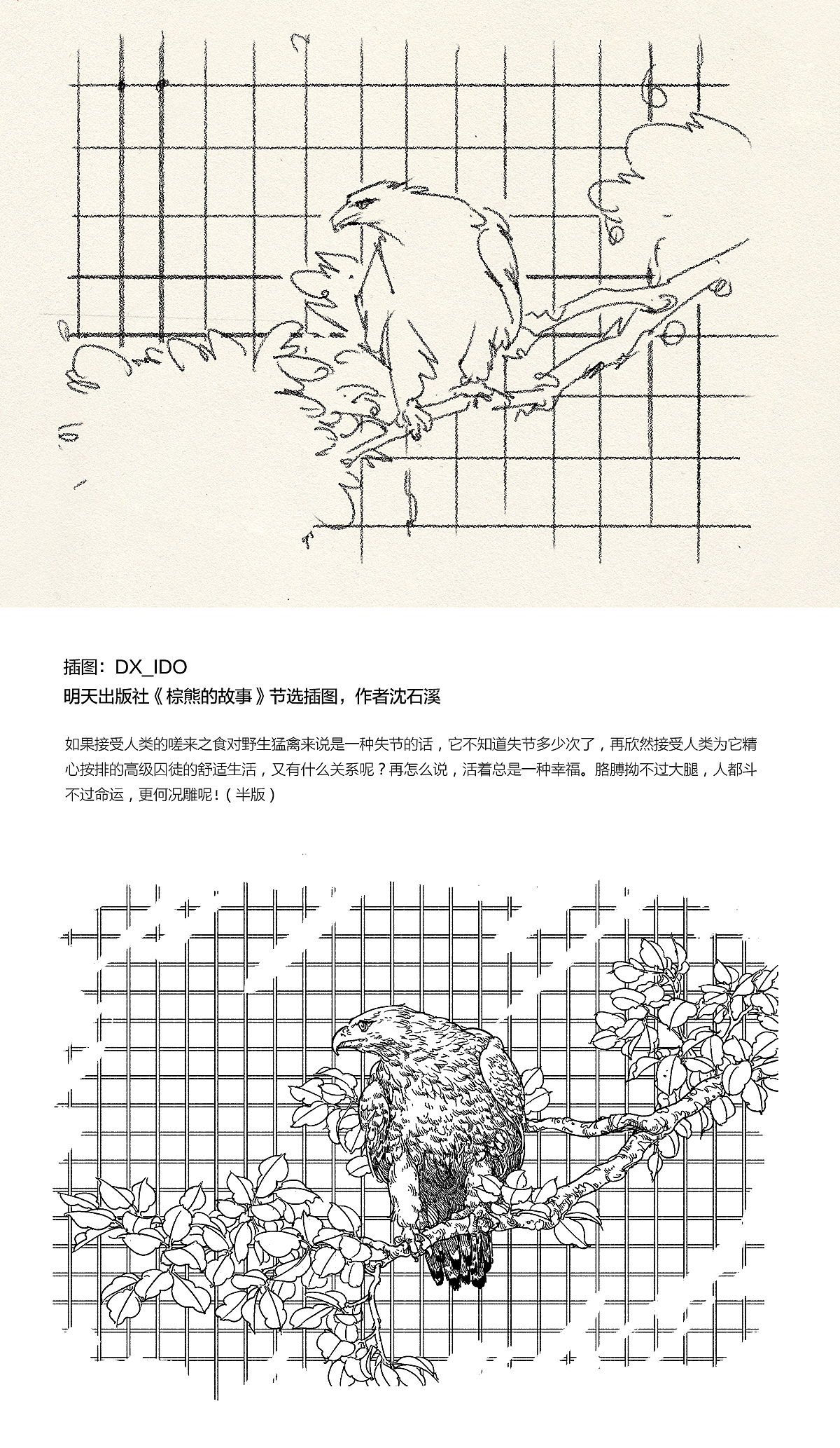 2189 一些插图整理（图ZMTI5NTg5MTg0） - 绘画 - 站酷设计师DX_IDO原创素材 - 站酷ZCOOL