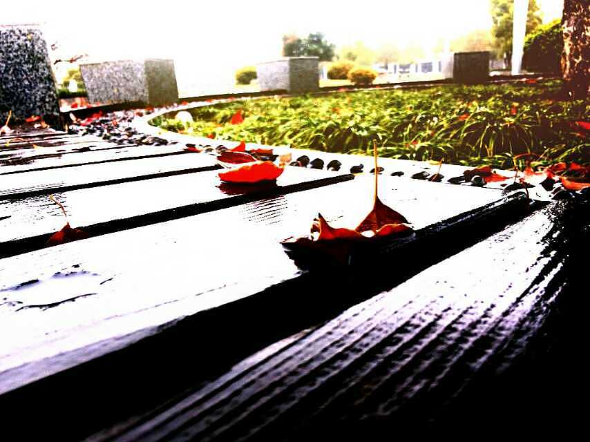 那一年，我的校园，我们的月亮岛