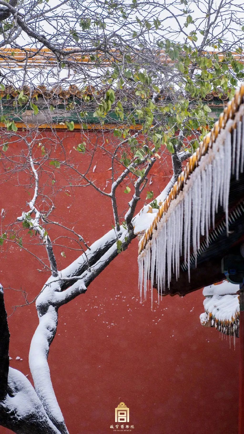 随着天气降温,故宫雪景又成了很多人去游览的一大奔头.