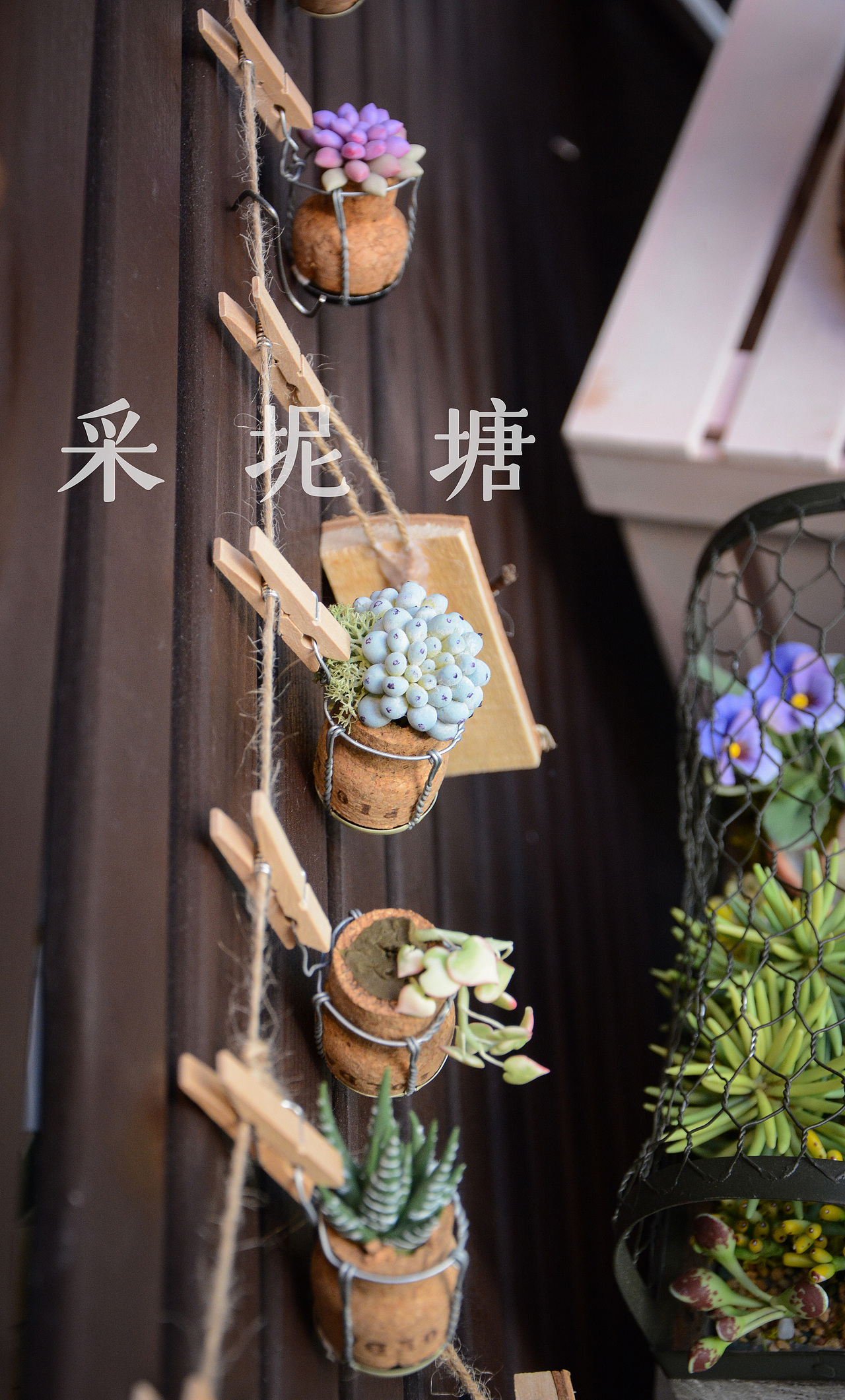 黏土多肉-手工时光~