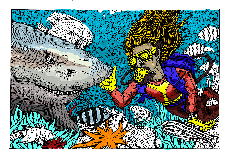 深海系列——遇见白鳍鲨(手绘过程)