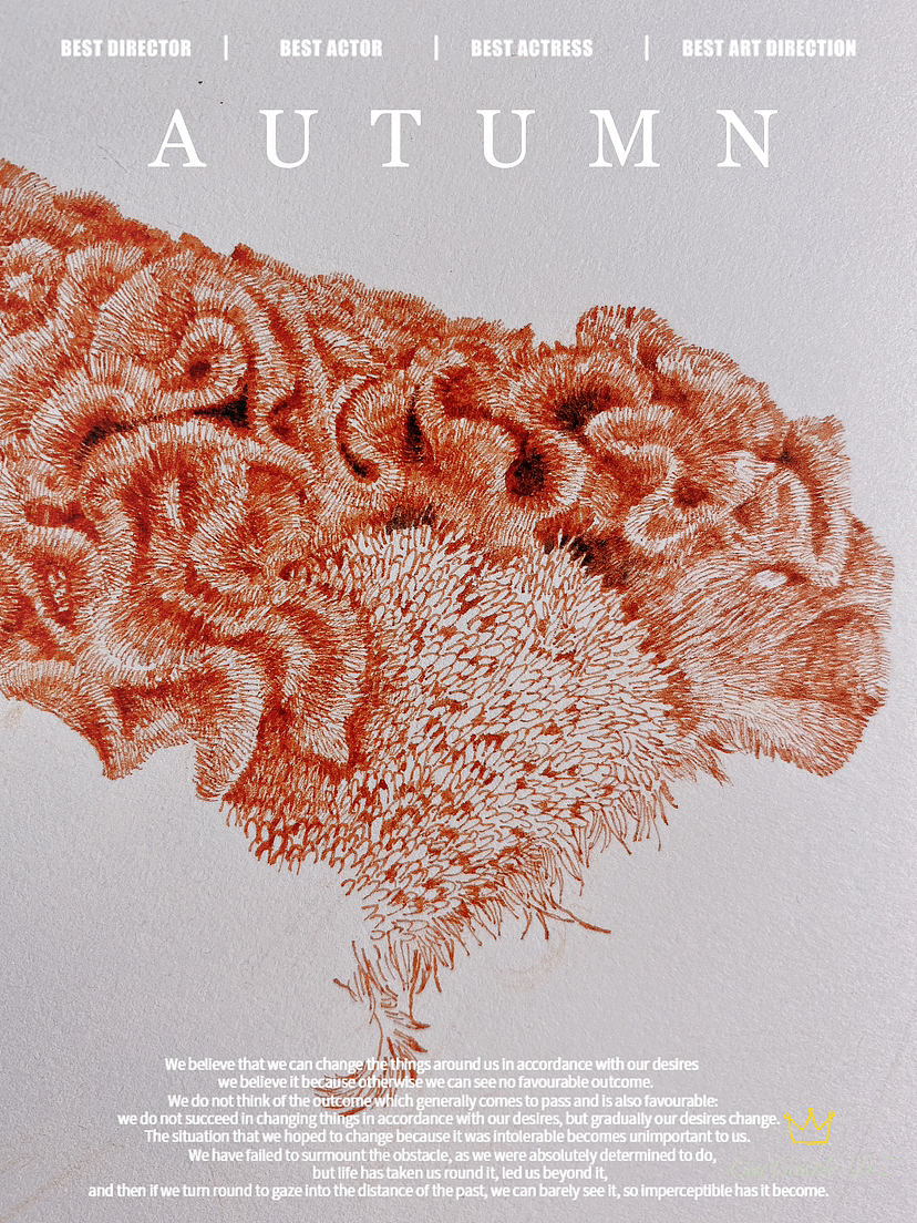 蘸水笔针管笔|鸡冠花