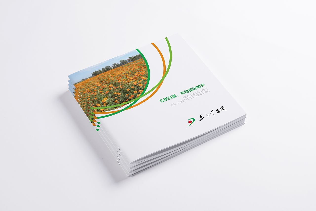 河北东之星集团画册