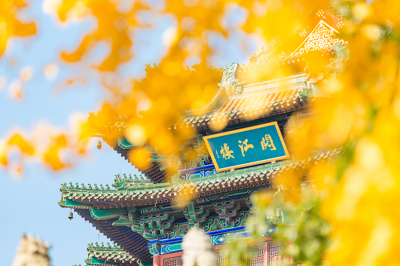 金陵秋色（图ZMjgwNjY3ODEy） - 风光摄影 - 站酷设计师十把火原创素材 - 站酷ZCOOL