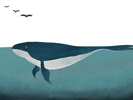 深海藍(lán)鯨插畫
