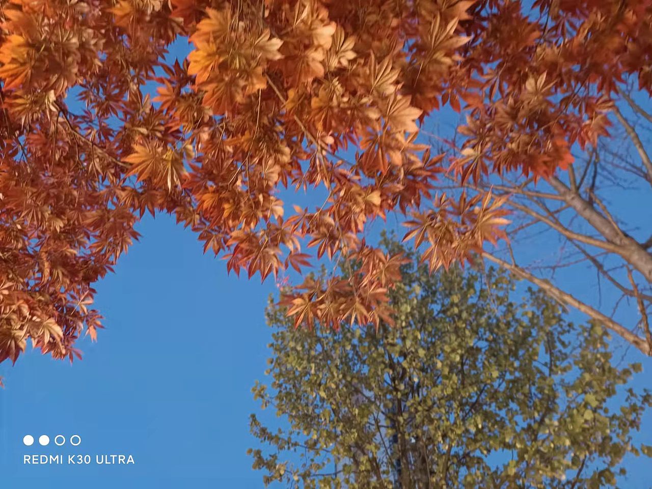 春日里的秋天（图ZMjk1ODg1ODE2） - 风光摄影 - 站酷设计师云间小云原创素材 - 站酷ZCOOL