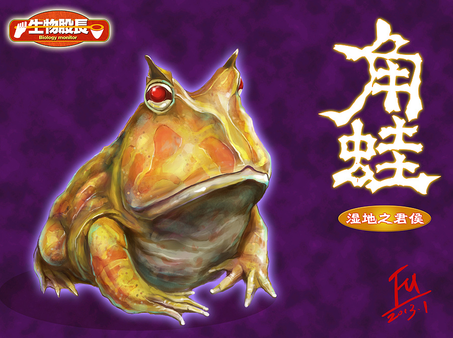 生物股长之角蛙