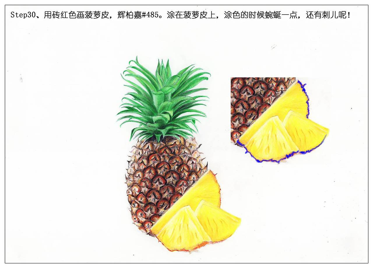 【驴大萌彩铅】手绘24节气水果图鉴 谷雨菠萝