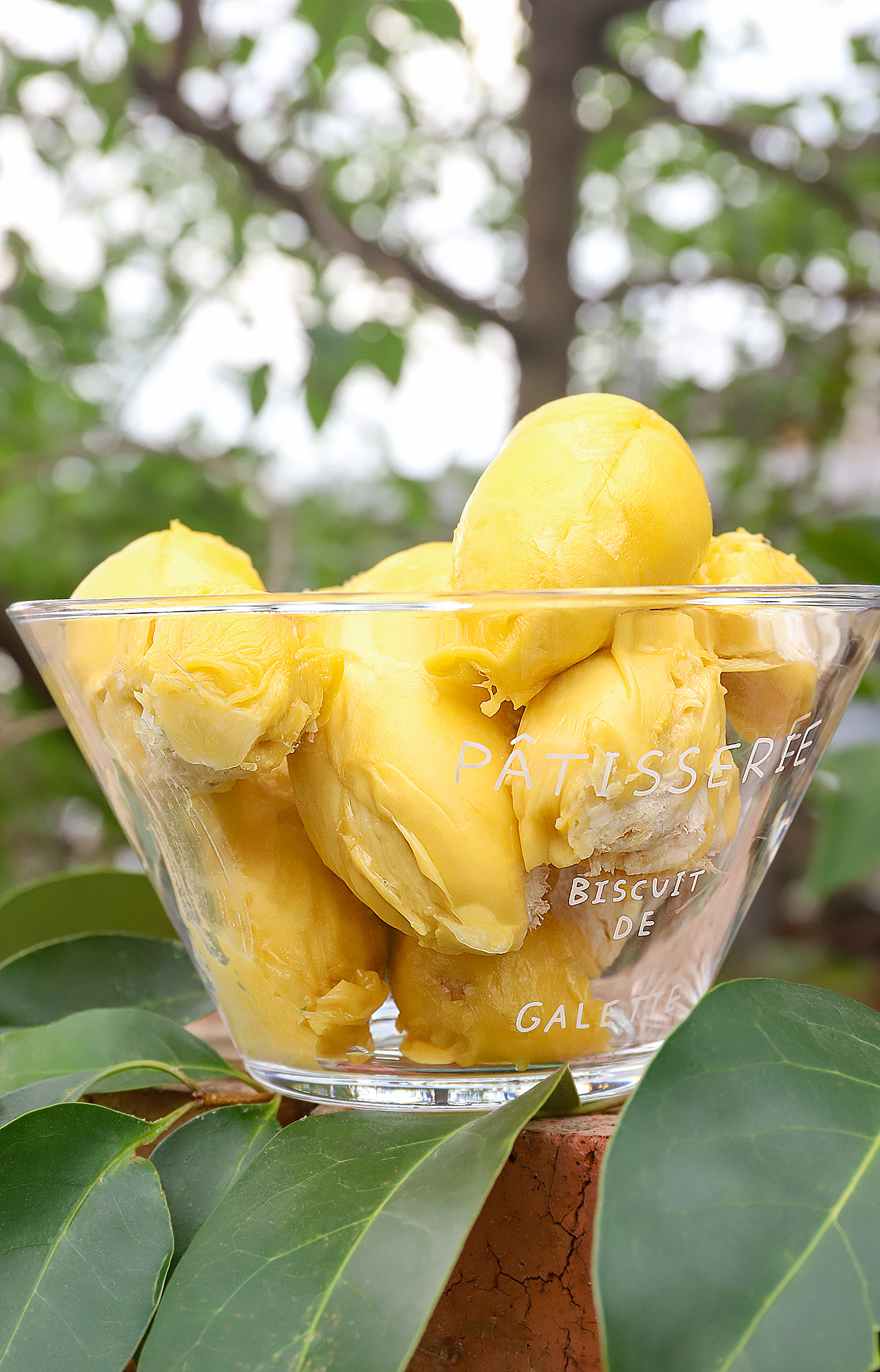 《泰国甲仑榴莲》户外拍一组