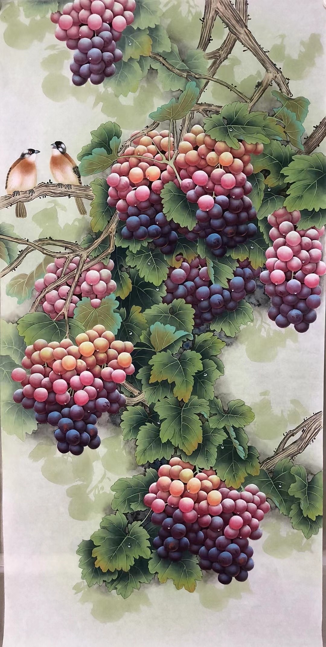 画家王振兴工笔葡萄