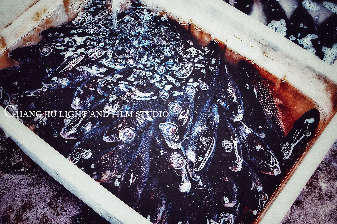 人间烟火（图ZMTkyNTc2MjY0） - 产品摄影 - 站酷设计师九儿食摄原创素材 - 站酷ZCOOL