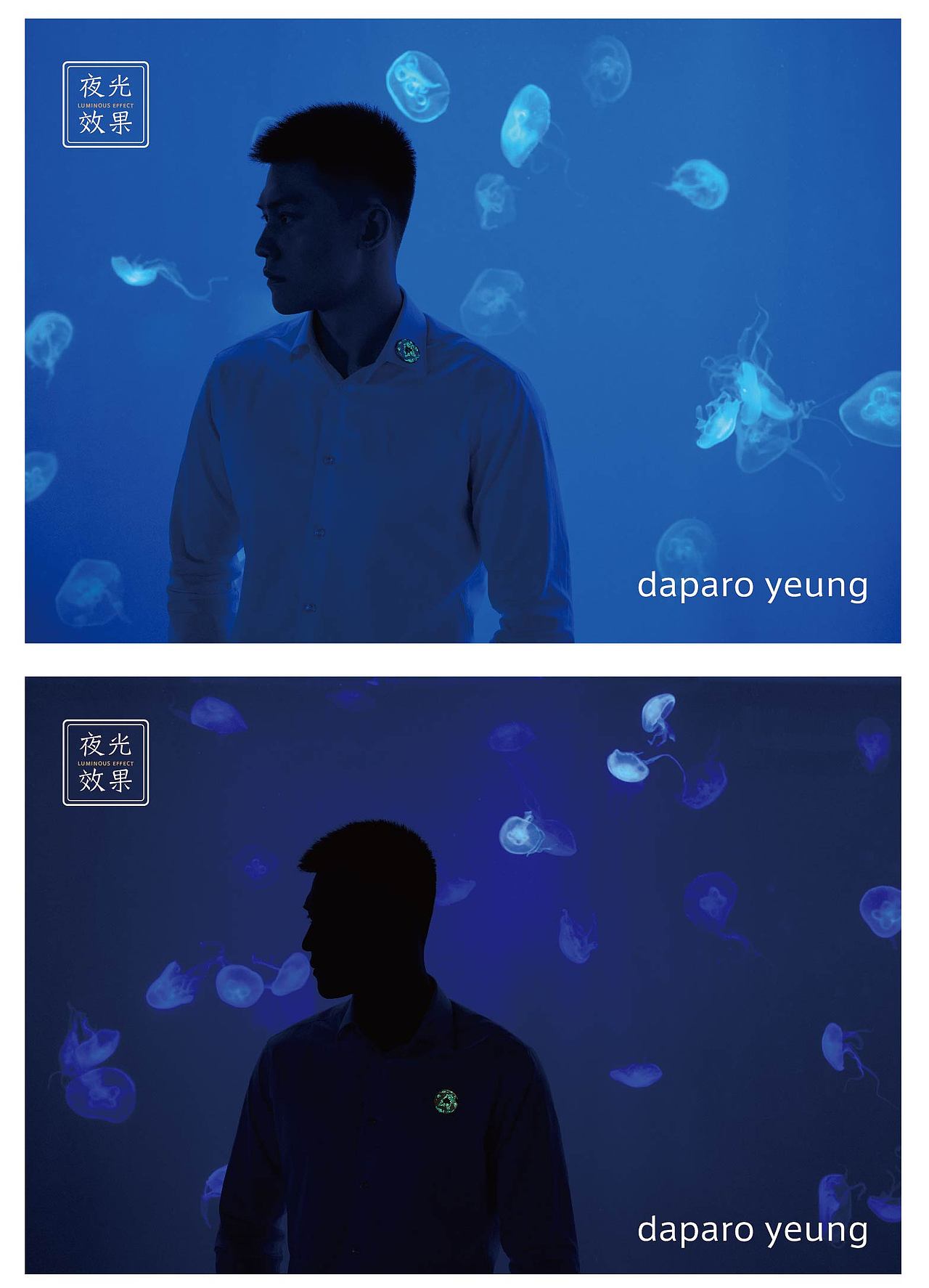「daparo yeung」白鲸、一角鲸极地双子星胸针设计（图ZMjU2MDk2MTY0） - 首饰设计 - 站酷设计师daparo原创素材 - 站酷ZCOOL