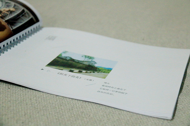 “摄、计、诗”个人概念书籍装帧及周边设计