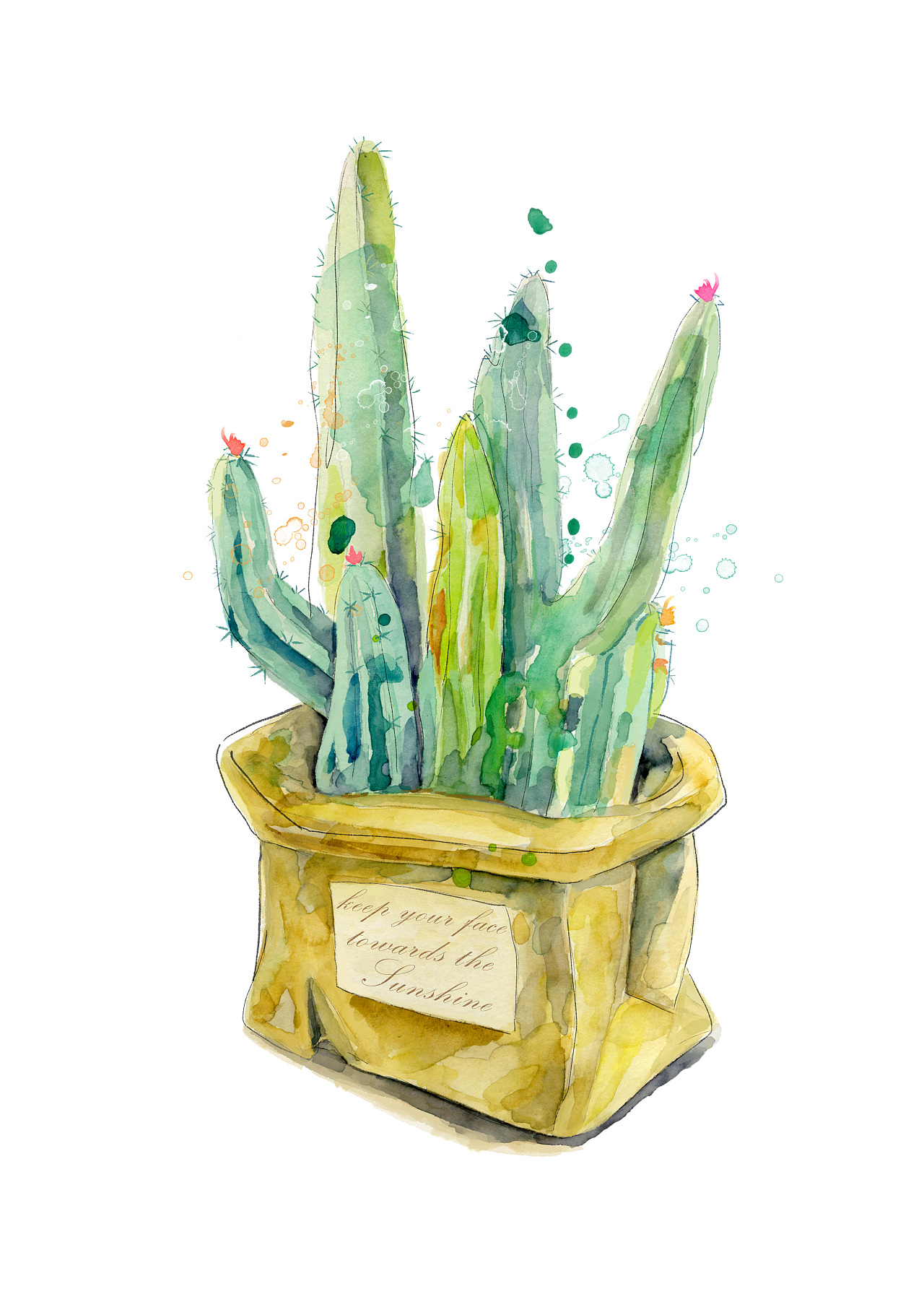 仙人掌|插画|创作习作|jindig - 原创作品 - 站酷 (zcool)