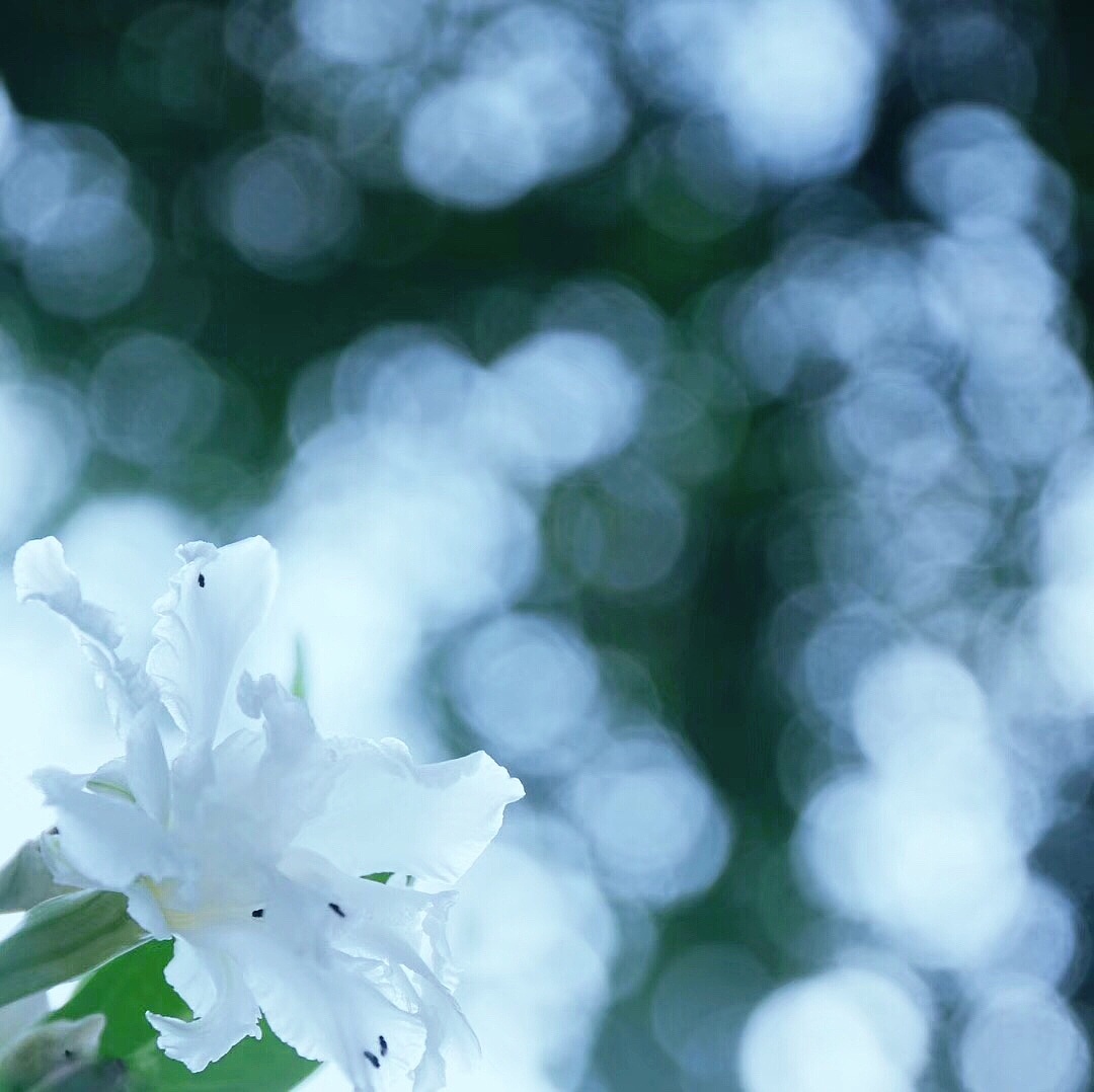 小清新色系主题摄影（图ZMTE2OTMxNzky） - 产品摄影 - 站酷设计师树君摄影原创素材 - 站酷ZCOOL