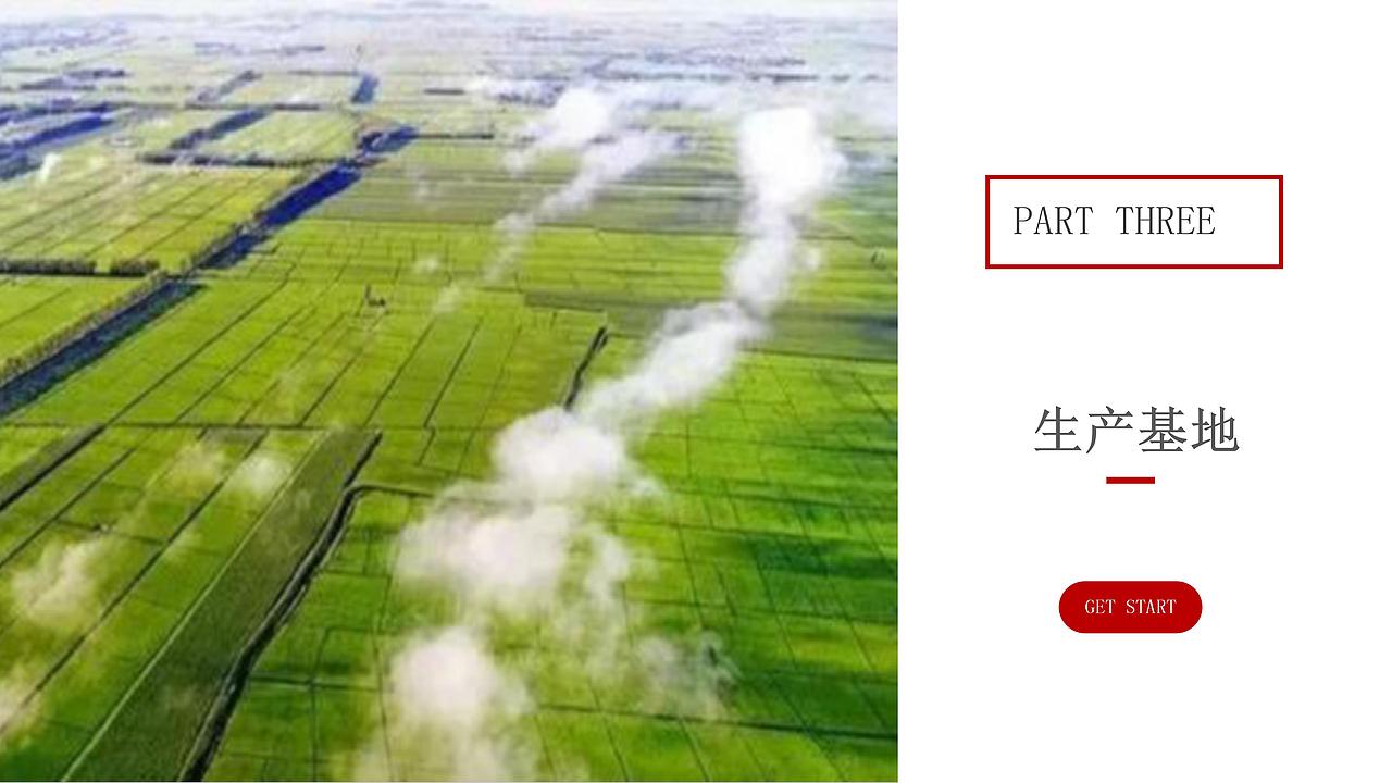 依璐盈电商公司-资深