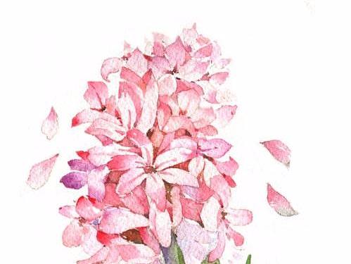 花（個人主頁-ZMjQ4NTU5MTI=） - 創(chuàng)作習(xí)作 - 站酷設(shè)計師橙橙橙子皮兒原創(chuàng)素材 - 站酷ZCOOL