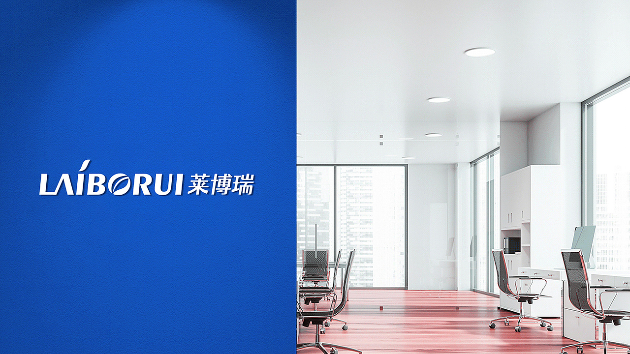 【瑞咖/品牌全案】莱博瑞 | 莱博瑞科技 超越未来