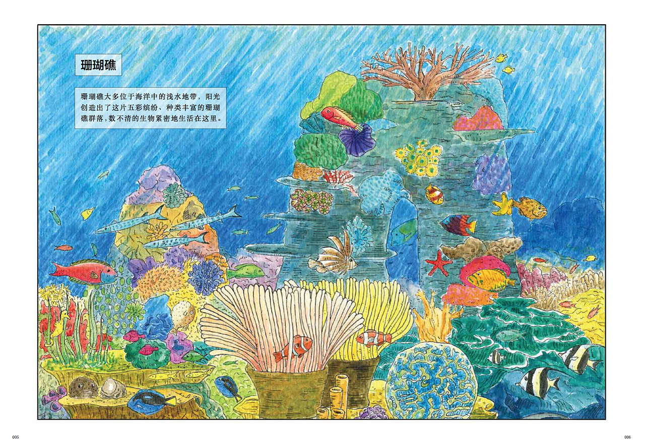 绘本《海洋动物》插画