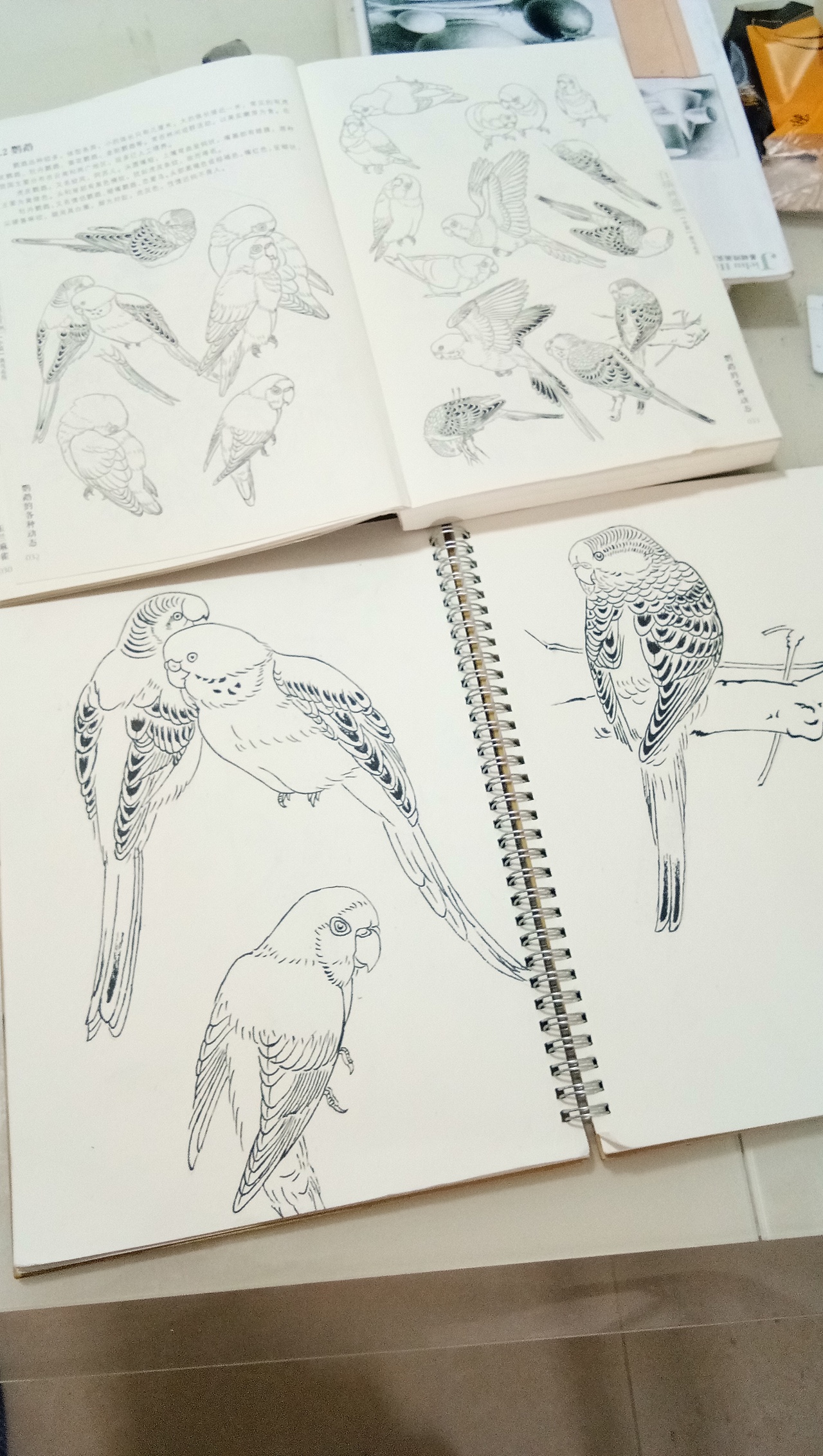 日常练习白描,希望大家多多指教,谢谢