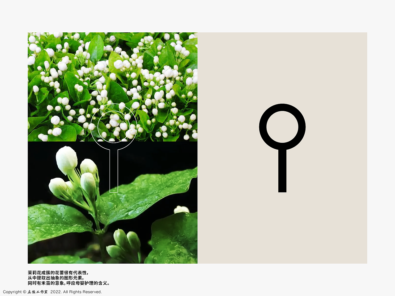 英文与图形的设定:茉莉花成簇的花蕾很具代表性,从中提取出抽象的