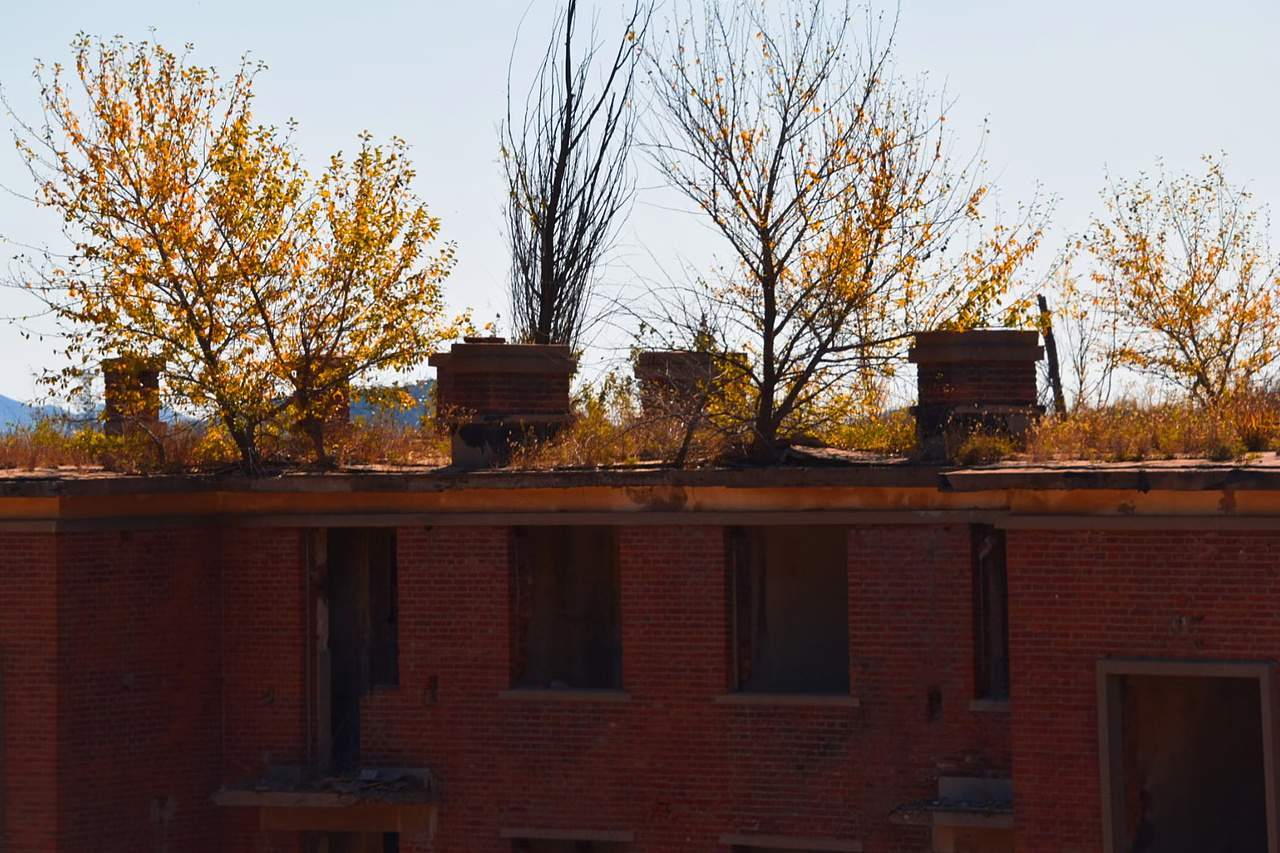 远去的故里 五五零二厂