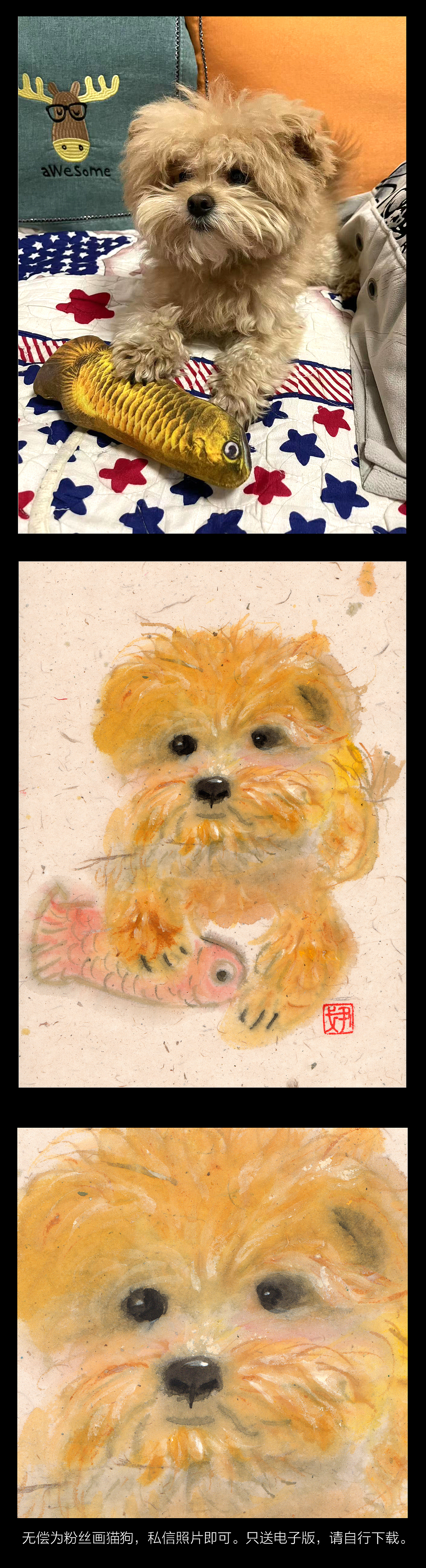 无偿为粉丝画猫狗活动,在站酷也来一波,三天截止。